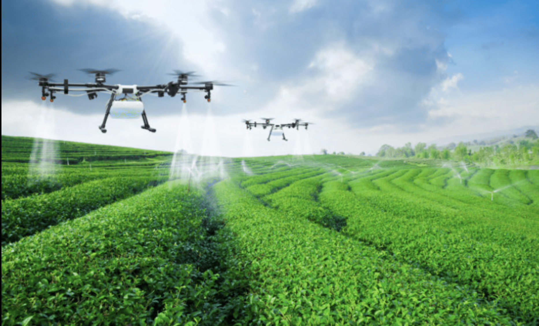climate resilient agriculture India